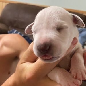 Meet your Posher, Nikki